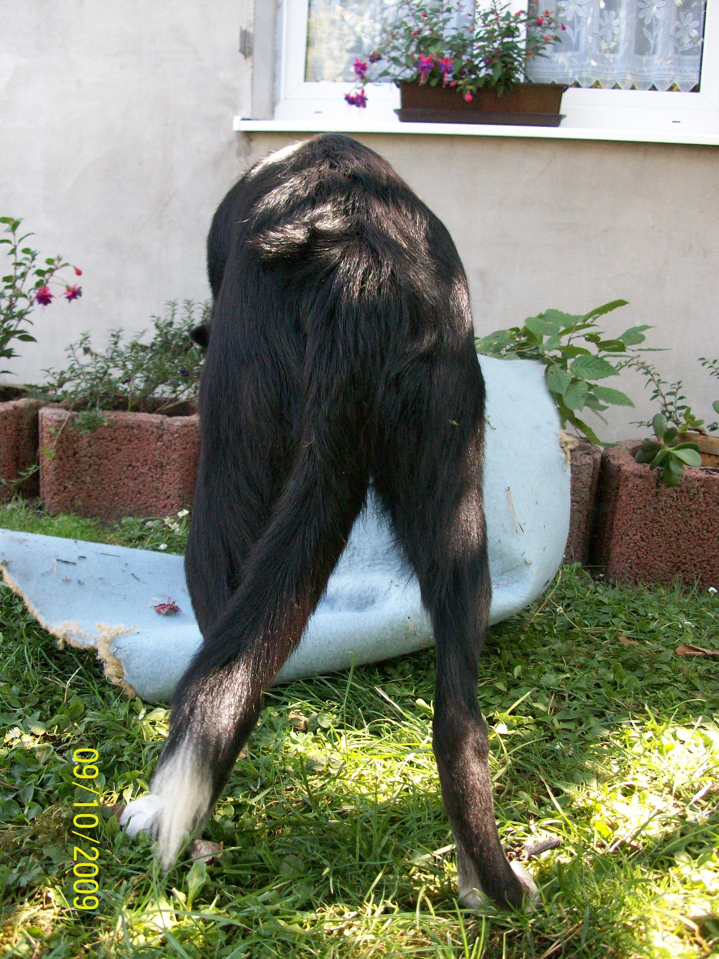 11.JPG
