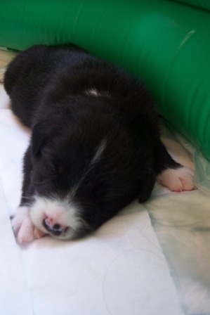 05) 24.4.2009 028.jpg