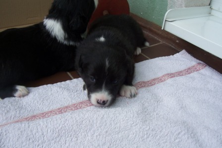 06) 26.4.2009 005.jpg